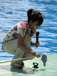 P9045860shuusei.JPG