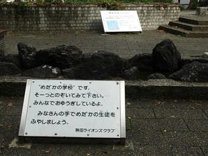 P9045596shuusei.JPG