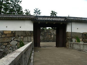 P9046238shuusei.JPG