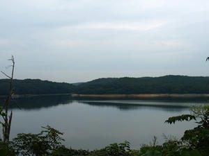 P9056445shuusei.JPG