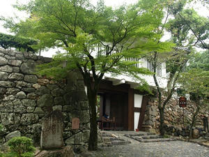 P9056694shuusei.JPG
