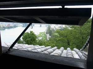 P9056706shuusei.JPG