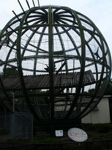 P9056752shuusei.JPG