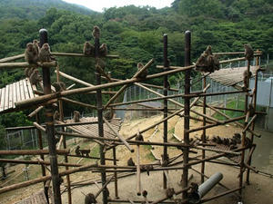 P9056756shuusei.JPG