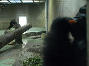 P9057022shuusei.JPG