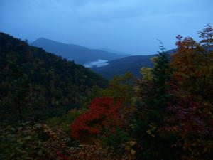 PA087830shuusei.JPG