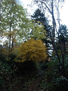 PA087843shuusei.JPG