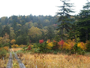 PA087879shuusei.JPG