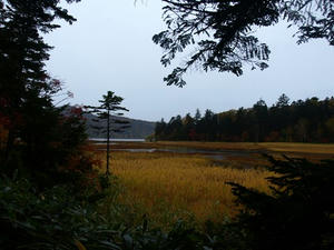 PA087928shuusei.JPG