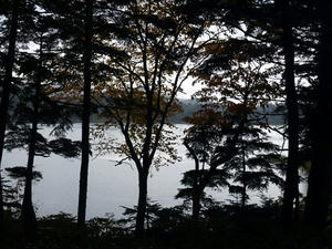 PA087935shuusei.JPG