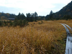 PA087962shuusei.JPG