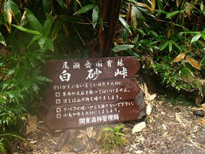 PA088022shuusei.JPG