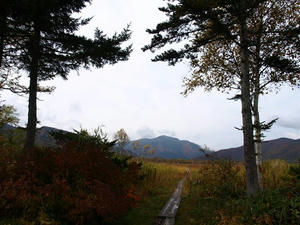 PA088086shuusei.JPG