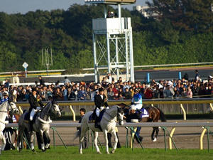 PB029766shuusei.JPG