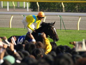 PB029808shuusei.JPG