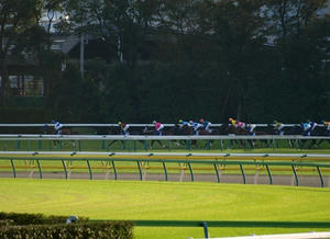 PB029839shuusei.JPG