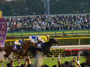PB029876shuusei.JPG