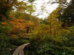 PA088337shuusei.JPG