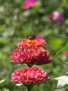 PA138415shuusei.JPG