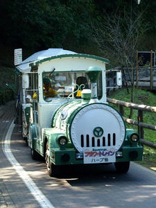 PA138444shuusei.JPG