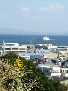 PA138510shuusei.JPG
