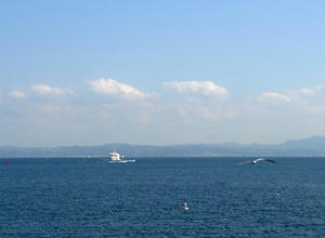 PA138555shuusei.JPG