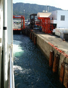 PA138632shuusei.JPG