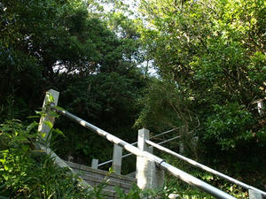 PA138689shuusei.JPG