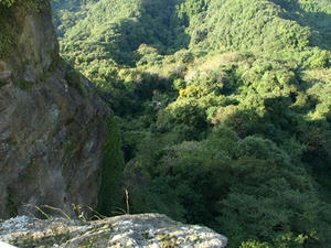 PA138714shuusei.JPG