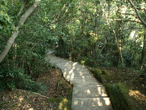 PA138739shuusei.JPG