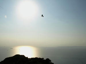 PA138786shuusei.JPG
