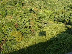 PA138805shuusei.JPG