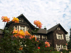 PA299198shuusei.JPG