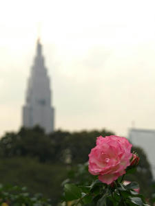 PA299336shuusei.JPG