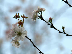 PA299393shuusei.JPG