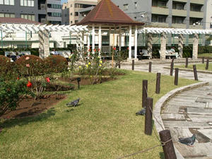 PA299235shuusei.JPG