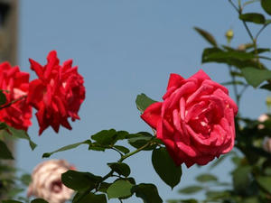 PA299223shuusei.JPG