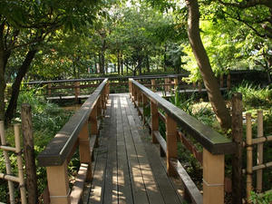 PA299241shuusei.JPG