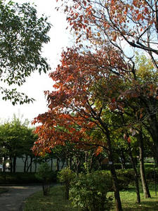 PA299247shuusei.JPG