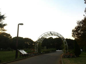 PA299425shuusei.JPG