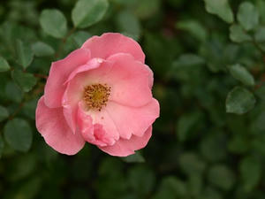 PA299429shuusei.JPG