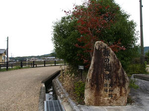 PB110138shuusei.JPG