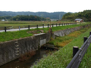 PB110140shuusei.JPG