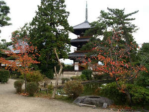 PB110155shuusei.JPG
