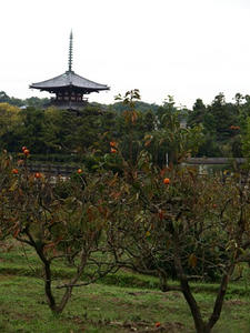 PB110170shuusei.JPG