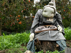 PB110168shuusei.JPG