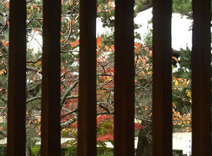 PB110221shuusei.JPG