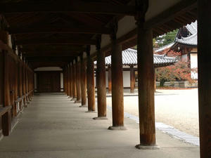 PB110226shuusei.JPG