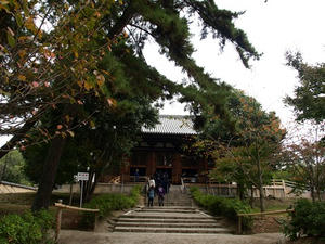 PB110235shuusei.JPG