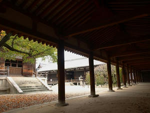 PB110200shuusei.JPG